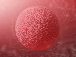 بهبود کیفیت تخمک در زنان (1)